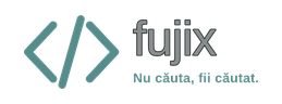 Fujix Optimization